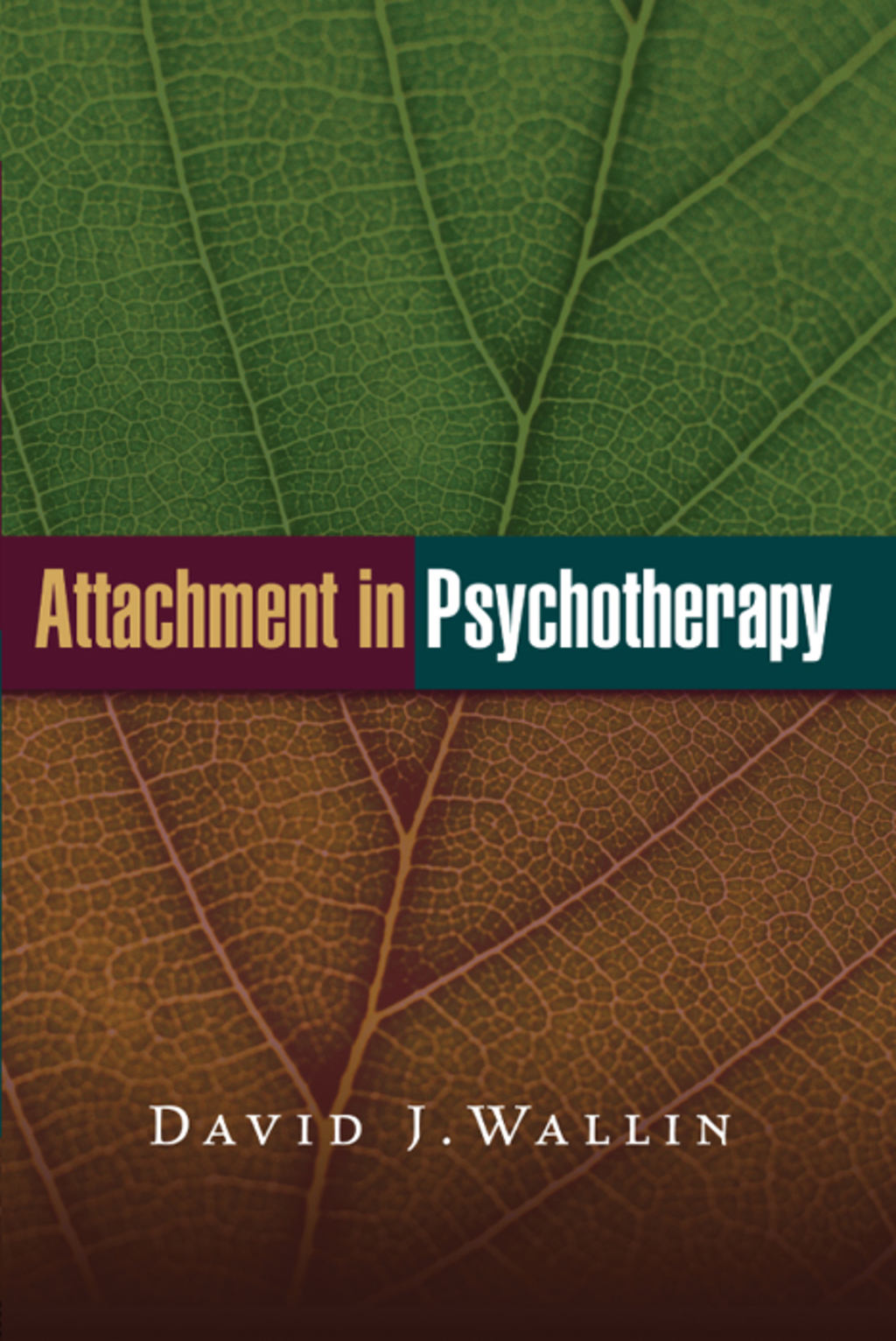 Attachment in Psychotherapy 
