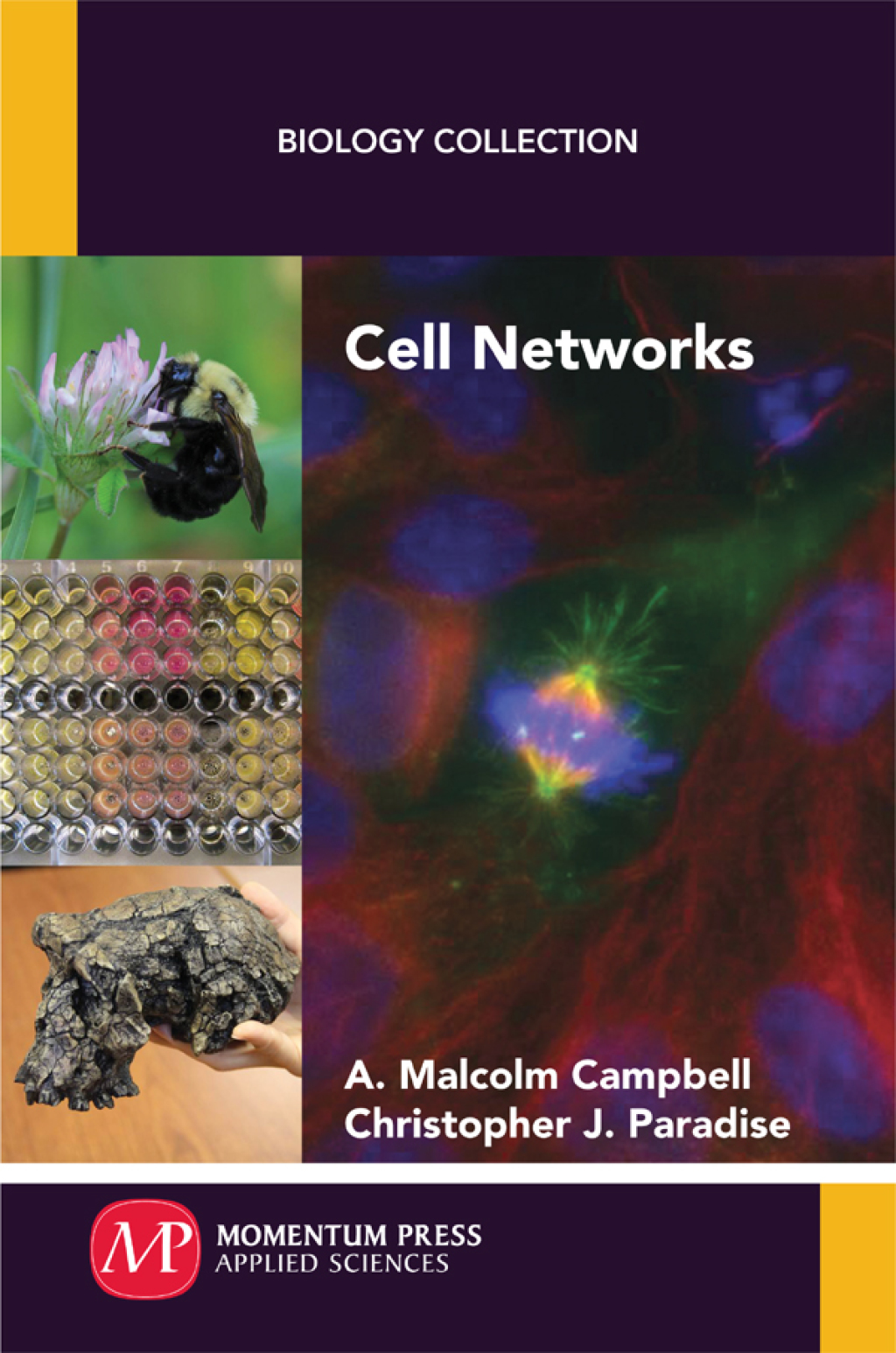 Cell Networks 