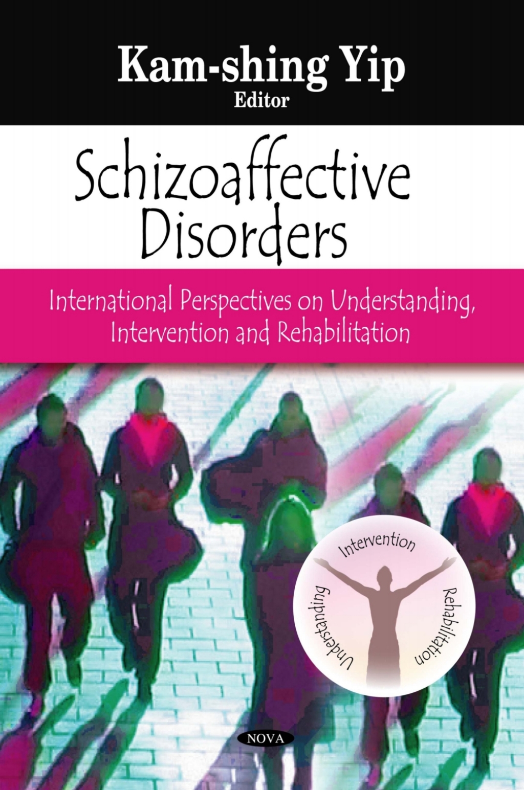 Schizoaffective Disorders: International Perspectives on Understanding, Intervention and Rehabilitation 