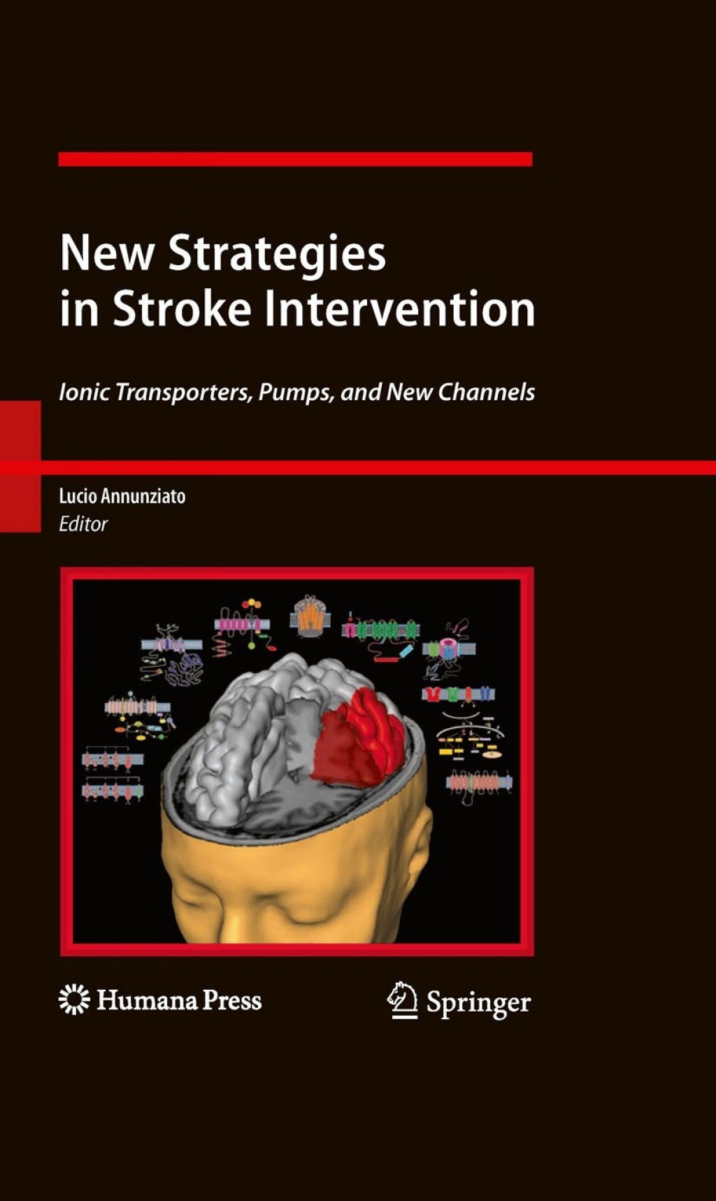 New Strategies in Stroke Intervention Ionic Transporters, Pumps, and New Channels 1st Edition