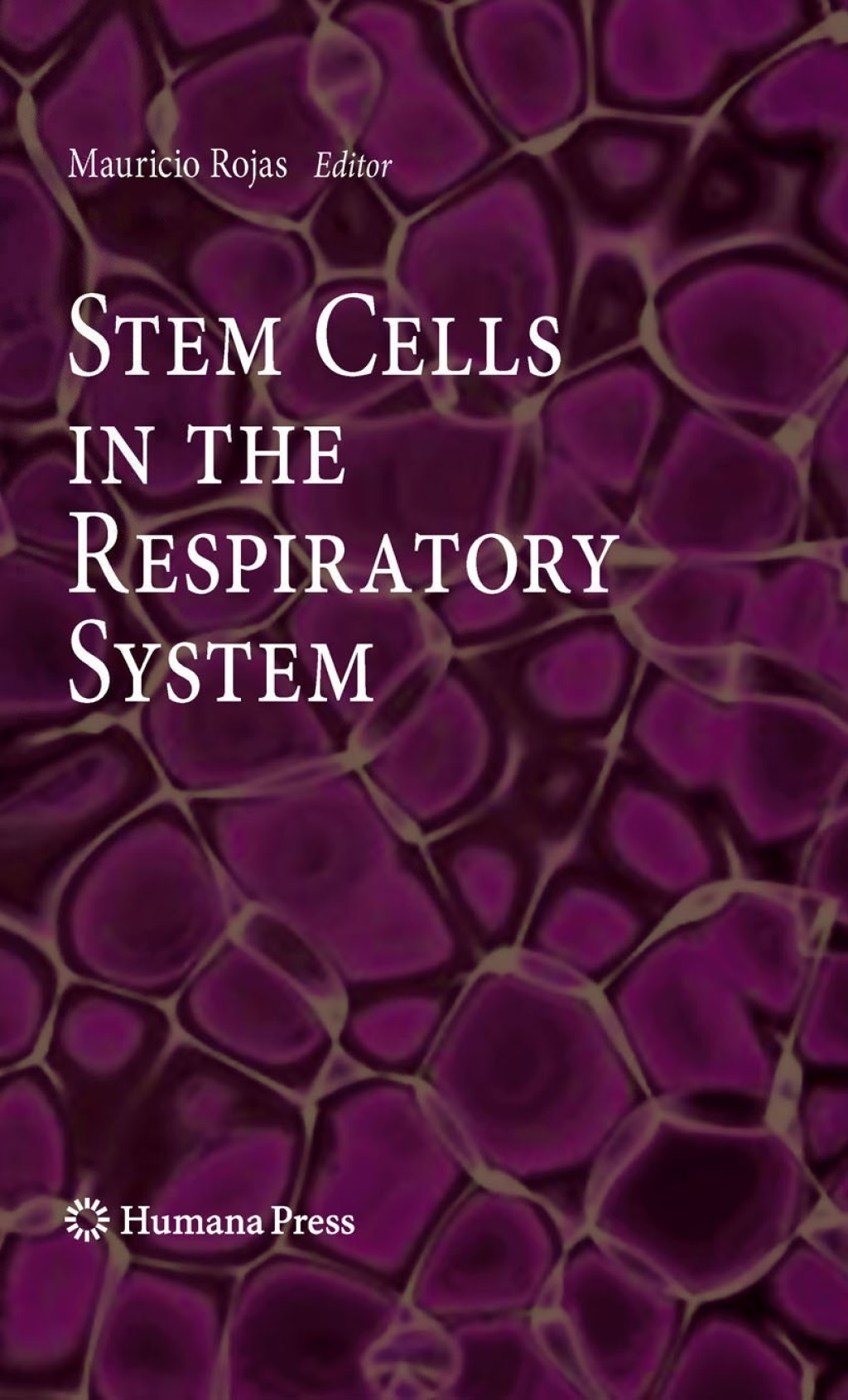 Stem Cells in the Respiratory System 1st Edition