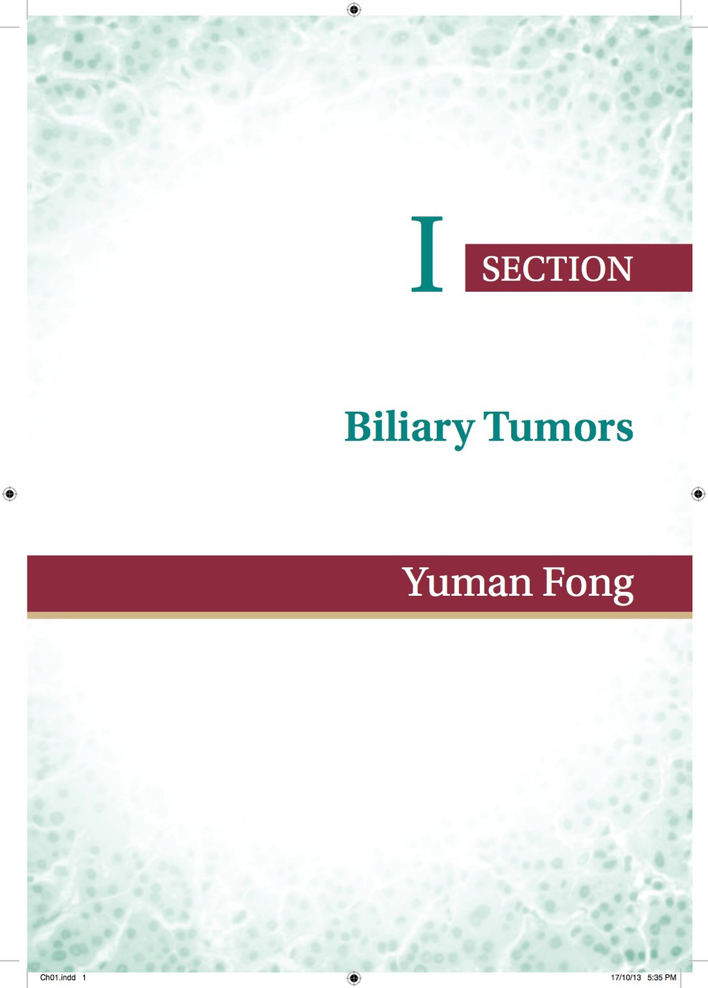 Hepatobiliary Cancer 