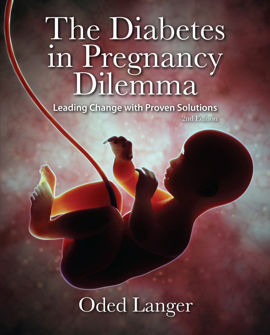 The Diabetes in Pregnancy Dilemma Leading Change with Proven Solutions 2nd Edition