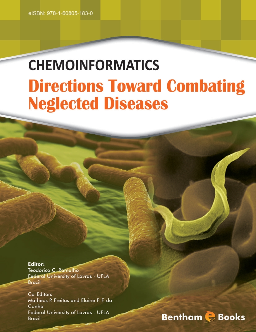 Chemoinformatics: Directions Toward Combating Neglected Diseases 1st Edition