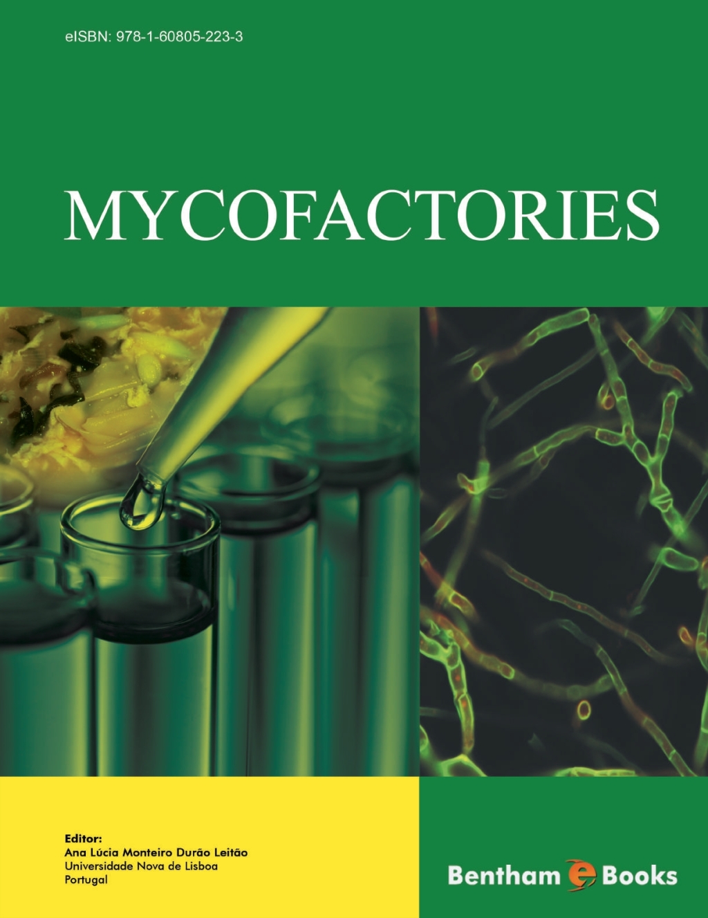 Mycofactories 1st Edition