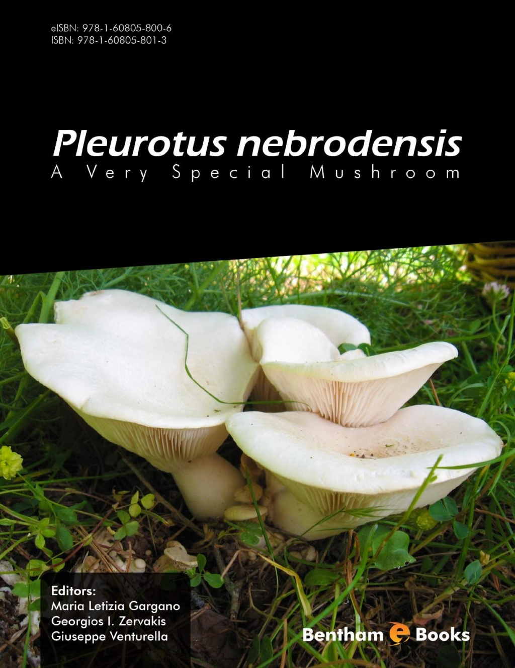 Pleurotus Nebrodensis: A Very Special Mushroom 1st Edition