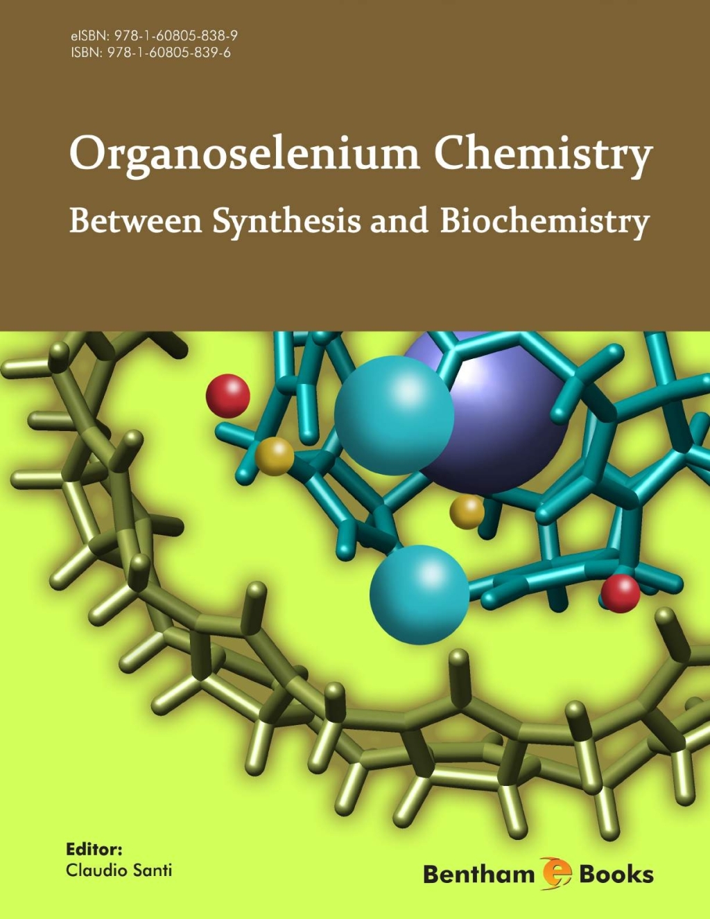 Organoselenium Chemistry: Between Synthesis and Biochemistry 1st Edition