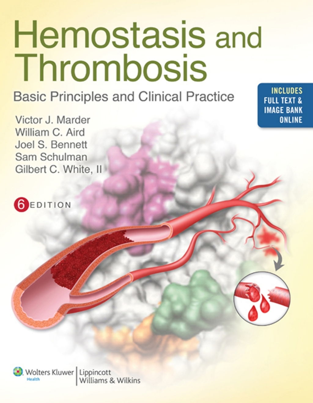 Hemostasis and Thrombosis Basic Principles and Clinical Practice 6th Edition