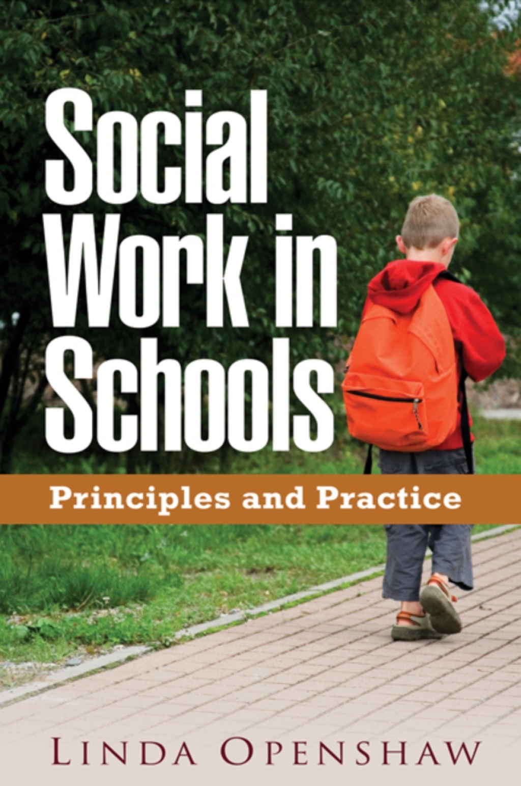 Social Work in Schools Principles and Practice 