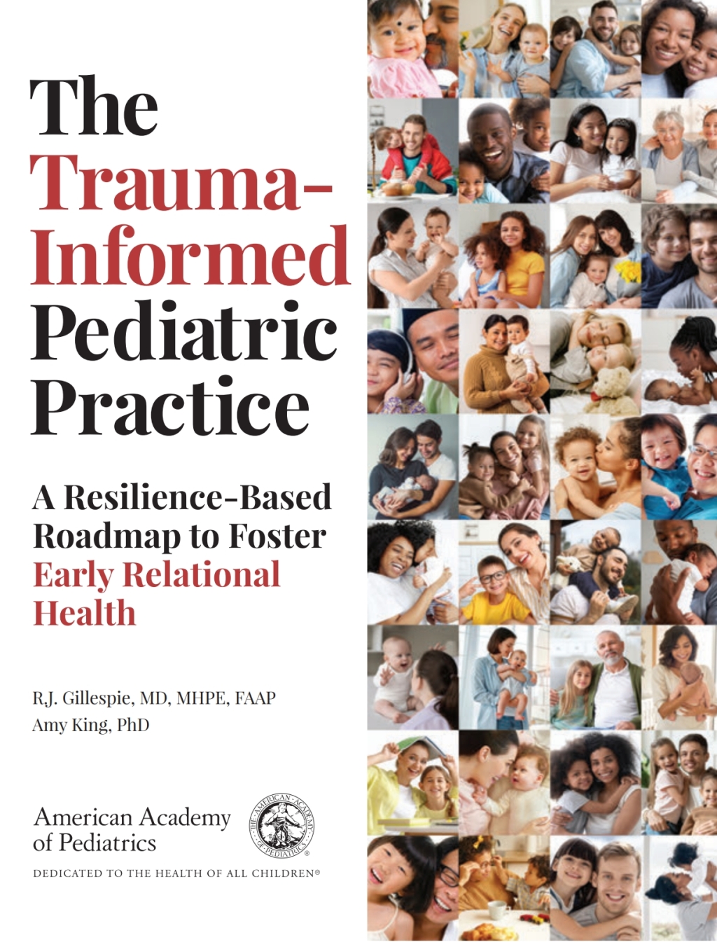The Trauma-Informed Pediatric Practice A Resilience-Based Roadmap to Foster Early Relational Health 