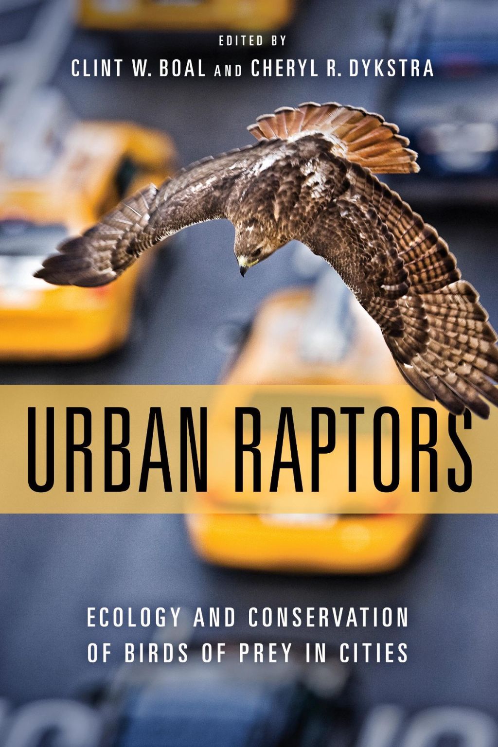 Urban Raptors Ecology and Conservation of Birds of Prey in Cities 