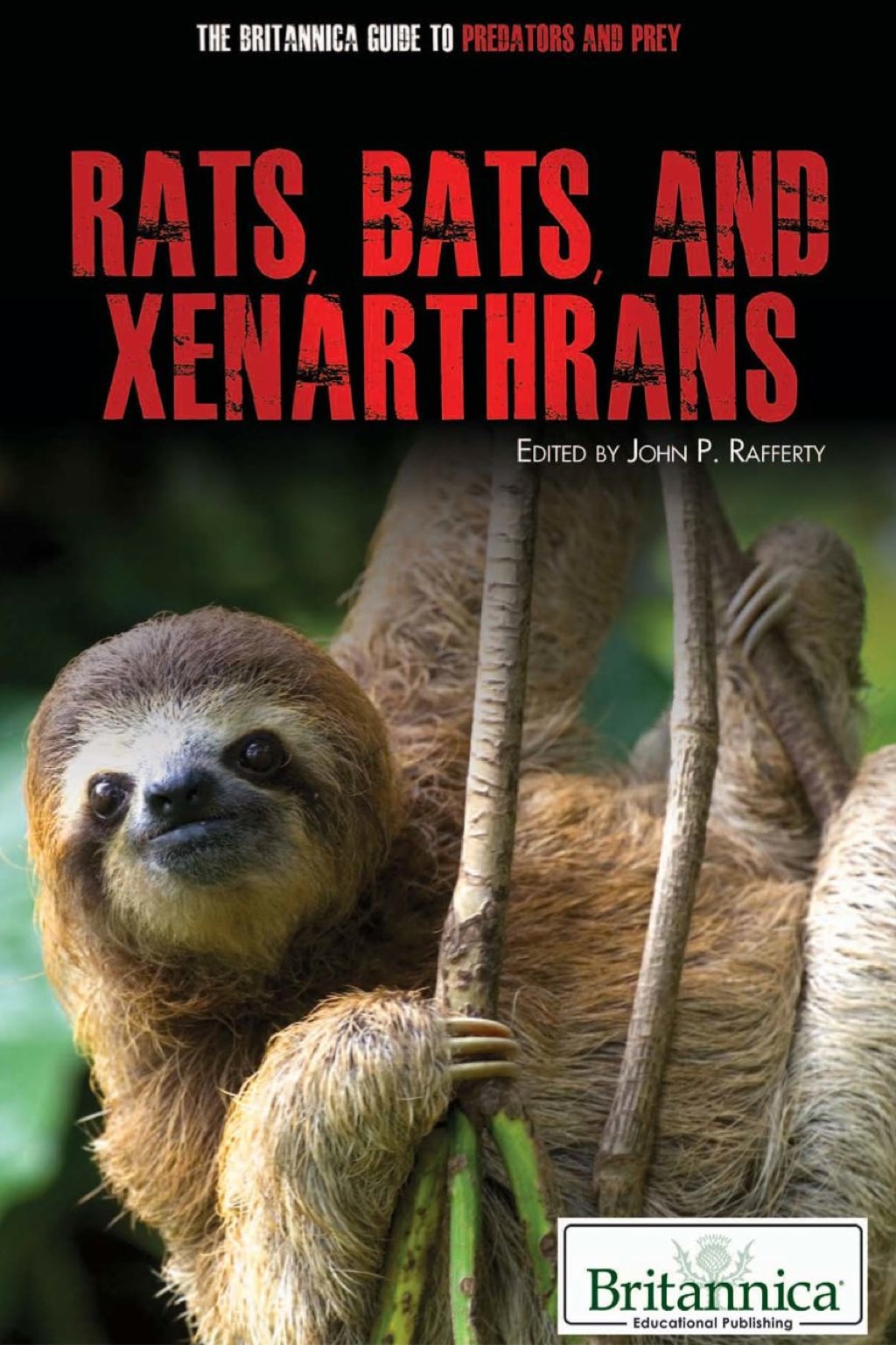 Rats, Bats, and Xenarthrans 1st Edition