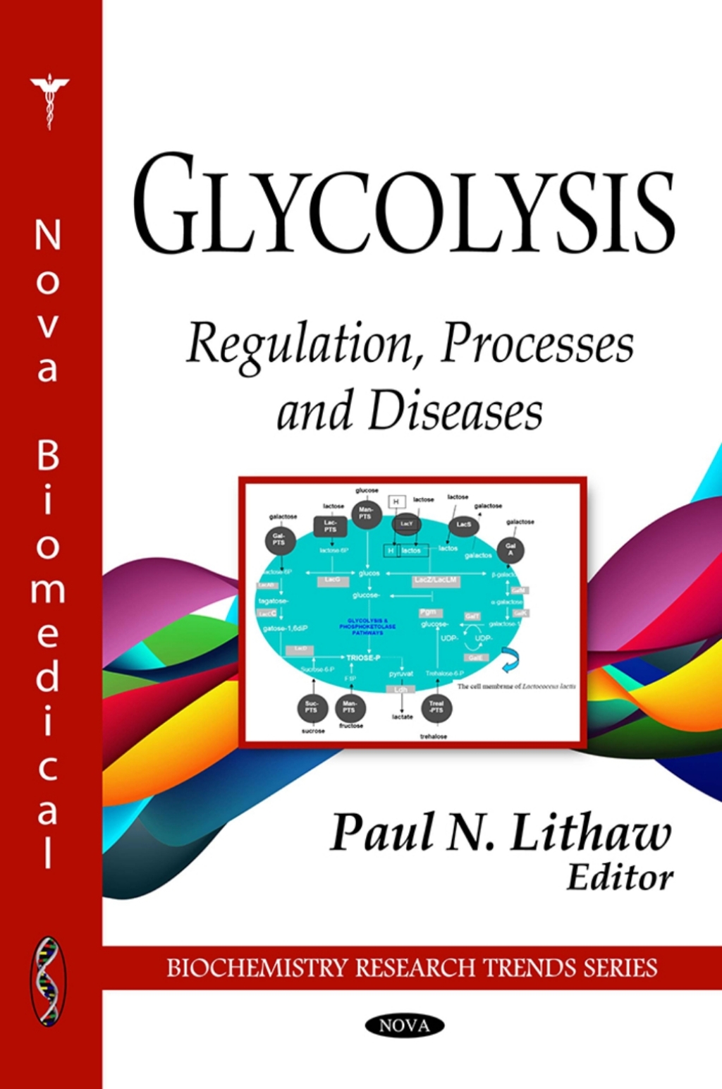 Glycolysis: Regulation, Processes and Diseases 
