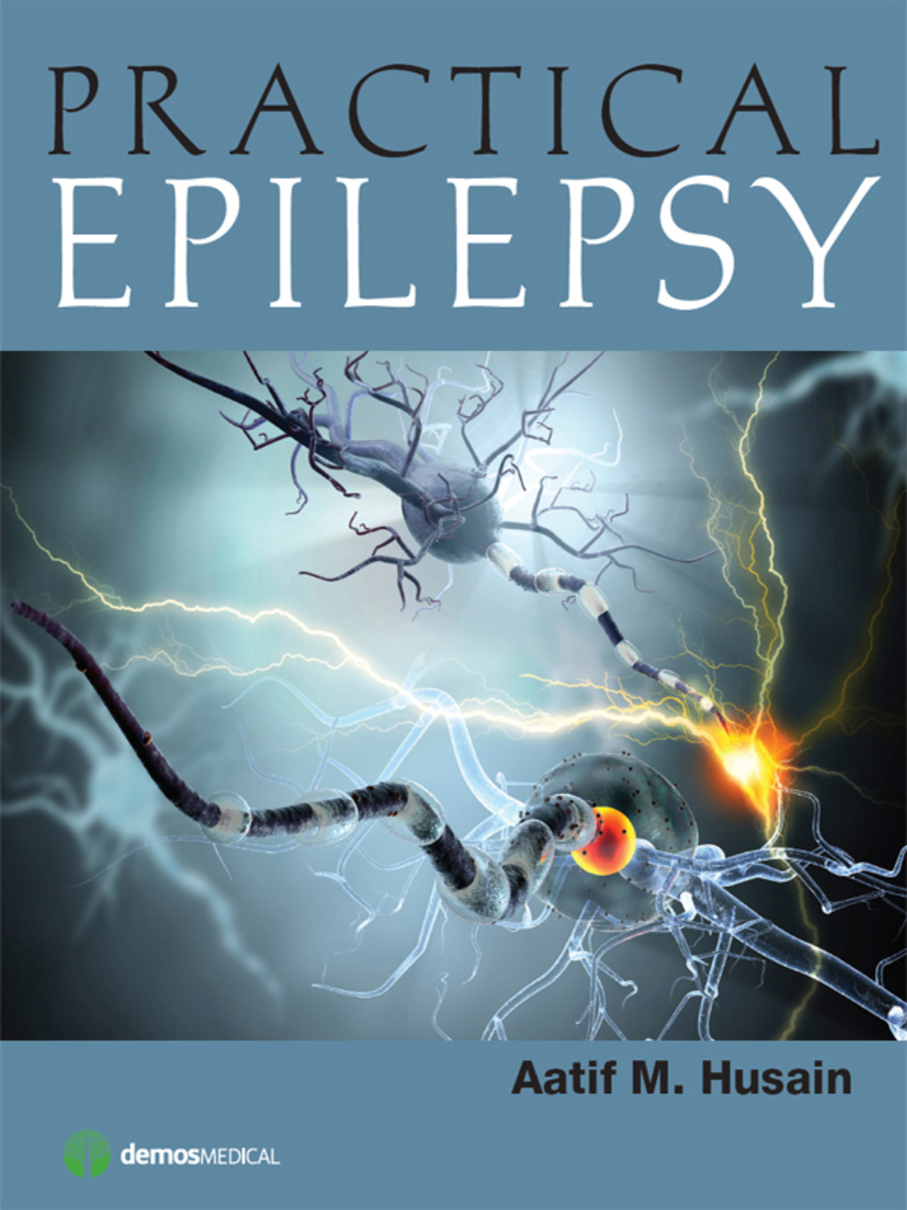 Practical Epilepsy 1st Edition
