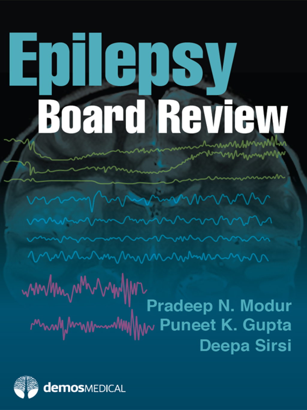 Epilepsy Board Review 1st Edition