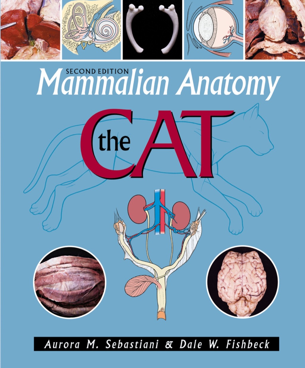 Mammalian Anatomy: The Cat 2nd Edition