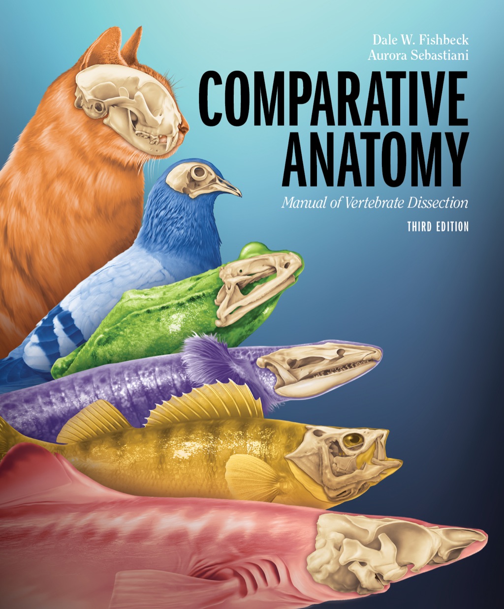 Comparative Anatomy: Manual of Vertebrate Dissection 3rd Edition