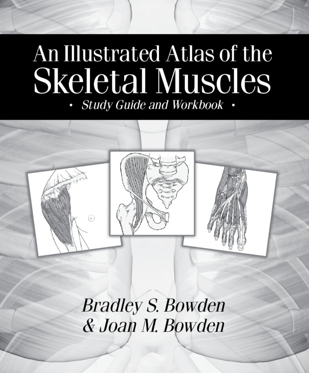 An Illustrated Atlas of the Skeletal Muscles: Study Guide and Workbook 1st Edition