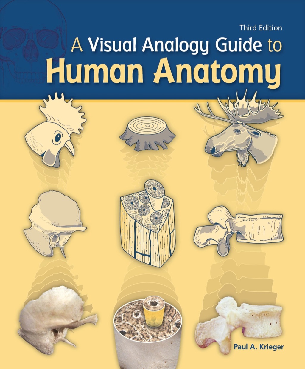A Visual Analogy Guide to Human Anatomy 3rd Edition