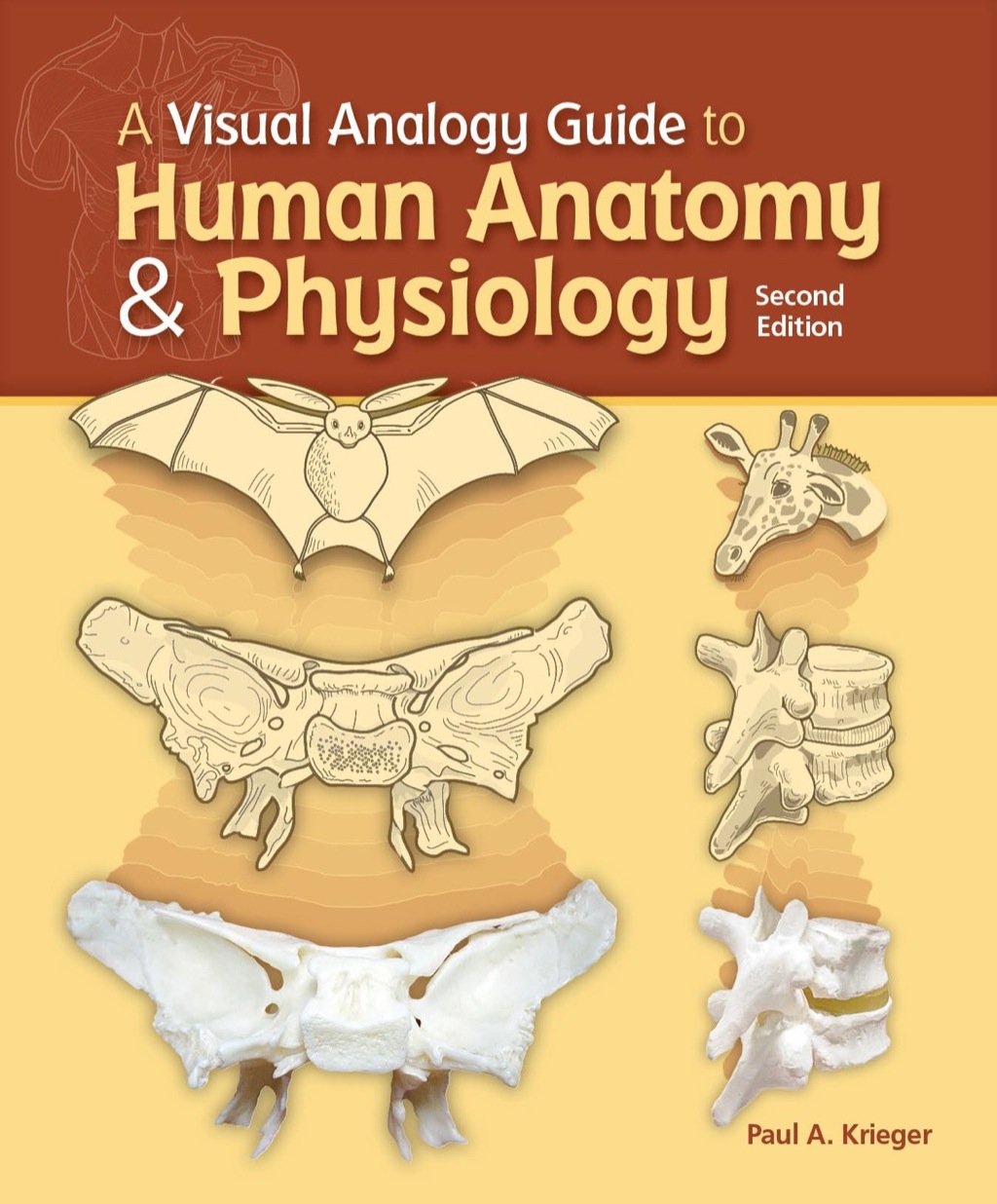 A Visual Analogy Guide to Human Anatomy and Physiology 2nd Edition