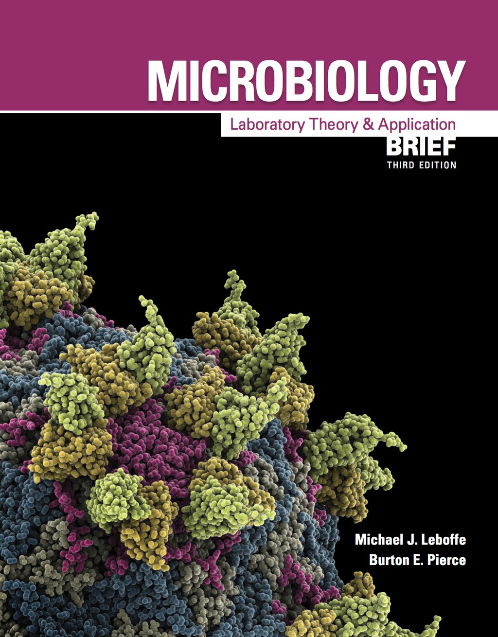 Microbiology: Laboratory Theory and Application, Brief 3rd Edition
