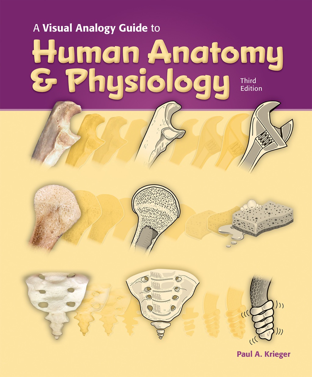 A Visual Analogy Guide to Human Anatomy & Physiology 3rd Edition