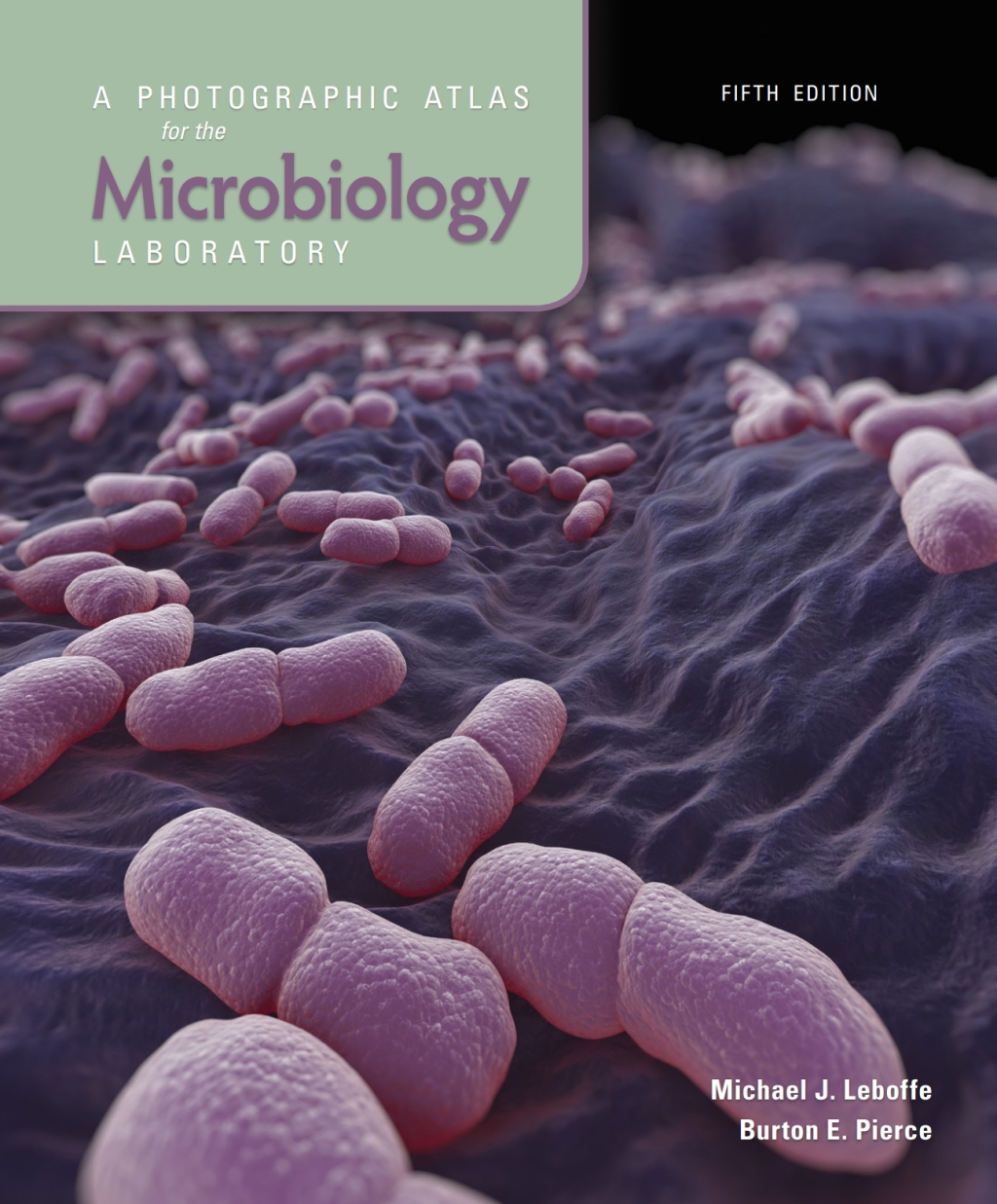 A Photographic Atlas for the Microbiology Laboratory 5th Edition