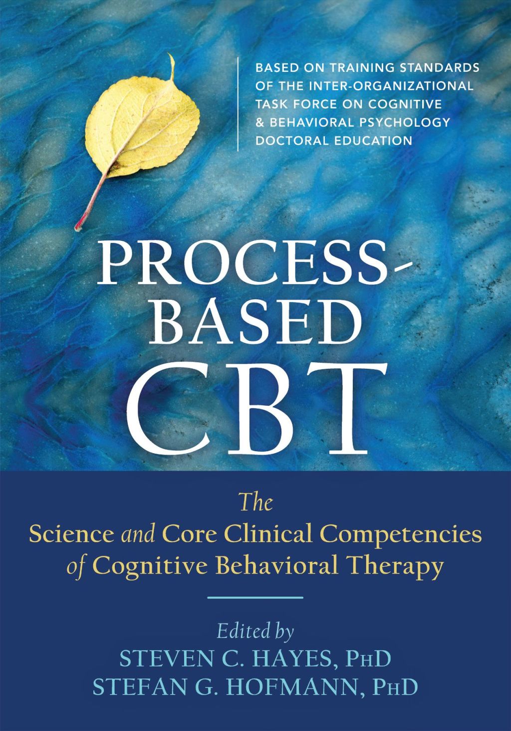 Process-Based CBT The Science and Core Clinical Competencies of Cognitive Behavioral Therapy 