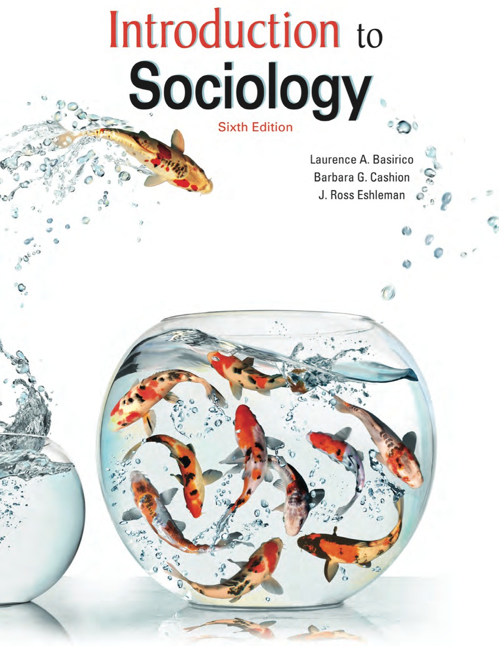 Introduction to Sociology 6th Edition