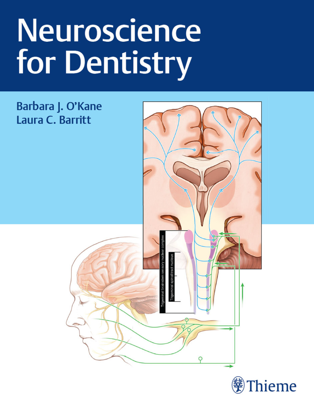 Neuroscience for Dentistry 1st Edition