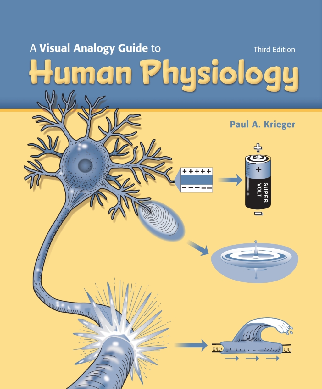 A Visual Analogy Guide to Human Physiology 3rd Edition