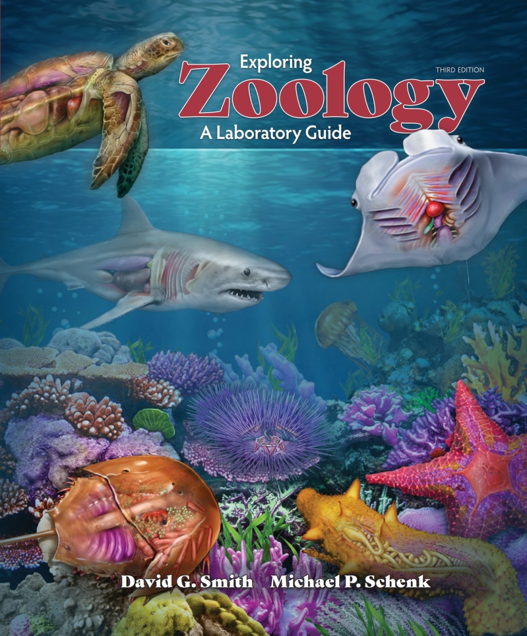 Exploring Zoology A Laboratory Guide 3rd Edition