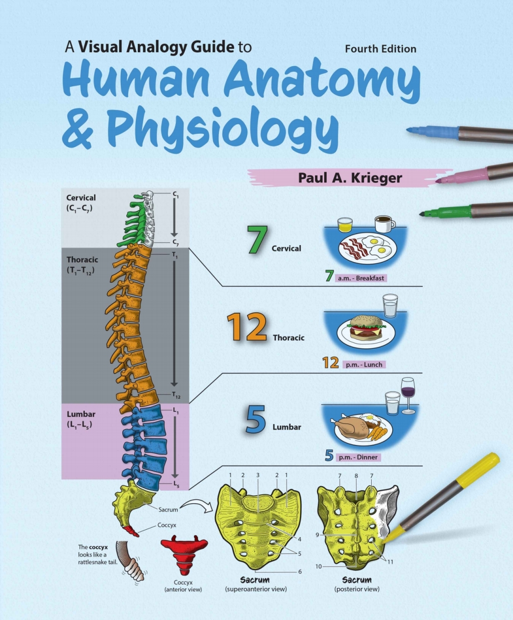 A Visual Analogy Guide to Human Anatomy and Physiology 4th Edition