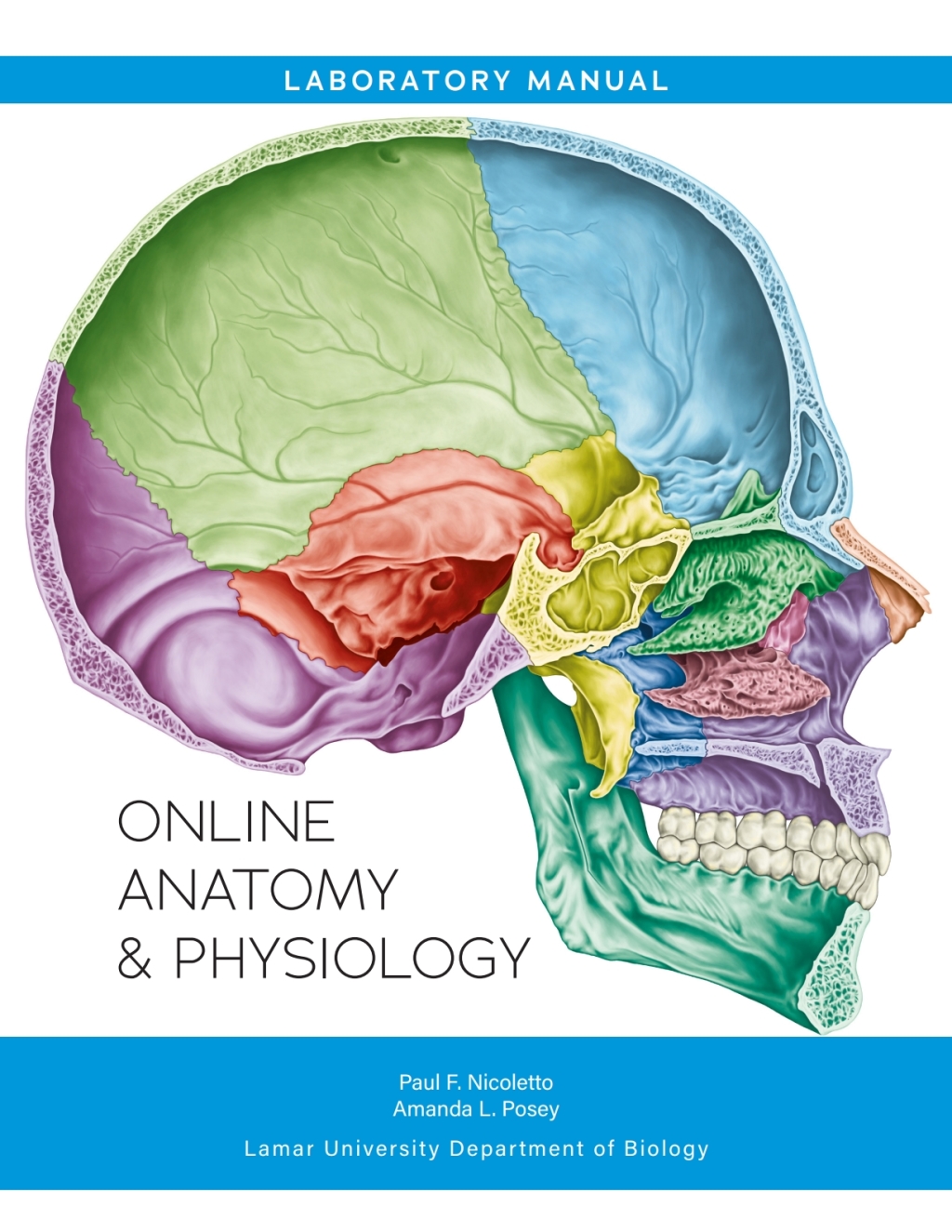 Online Anatomy & Physiology 2nd Edition