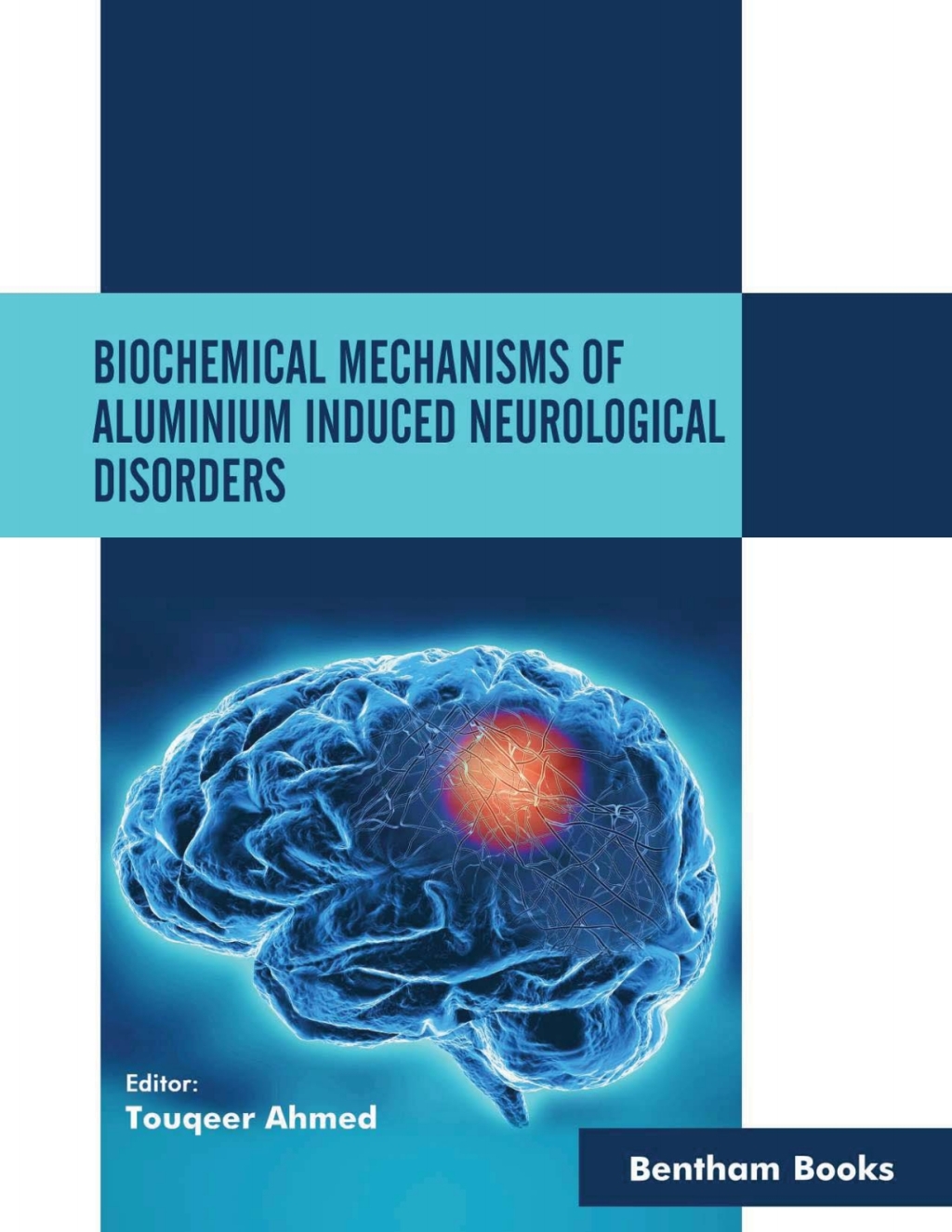 Biochemical Mechanisms of Aluminium Induced Neurological Disorders 1st Edition