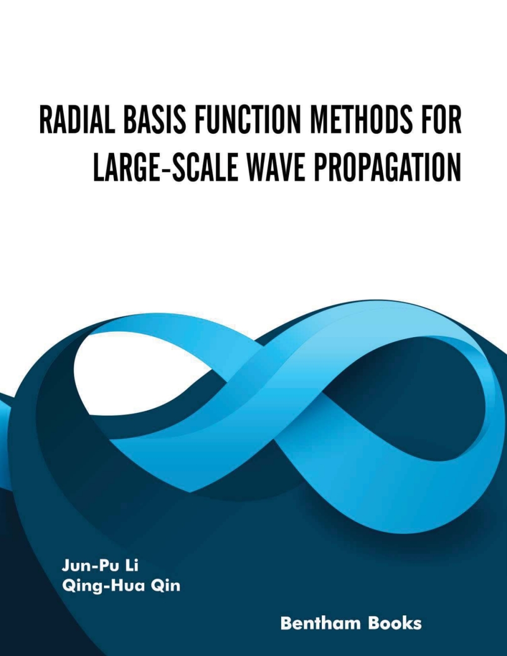 Radial Basis Function Methods for Large-Scale Wave Propagation 1st Edition
