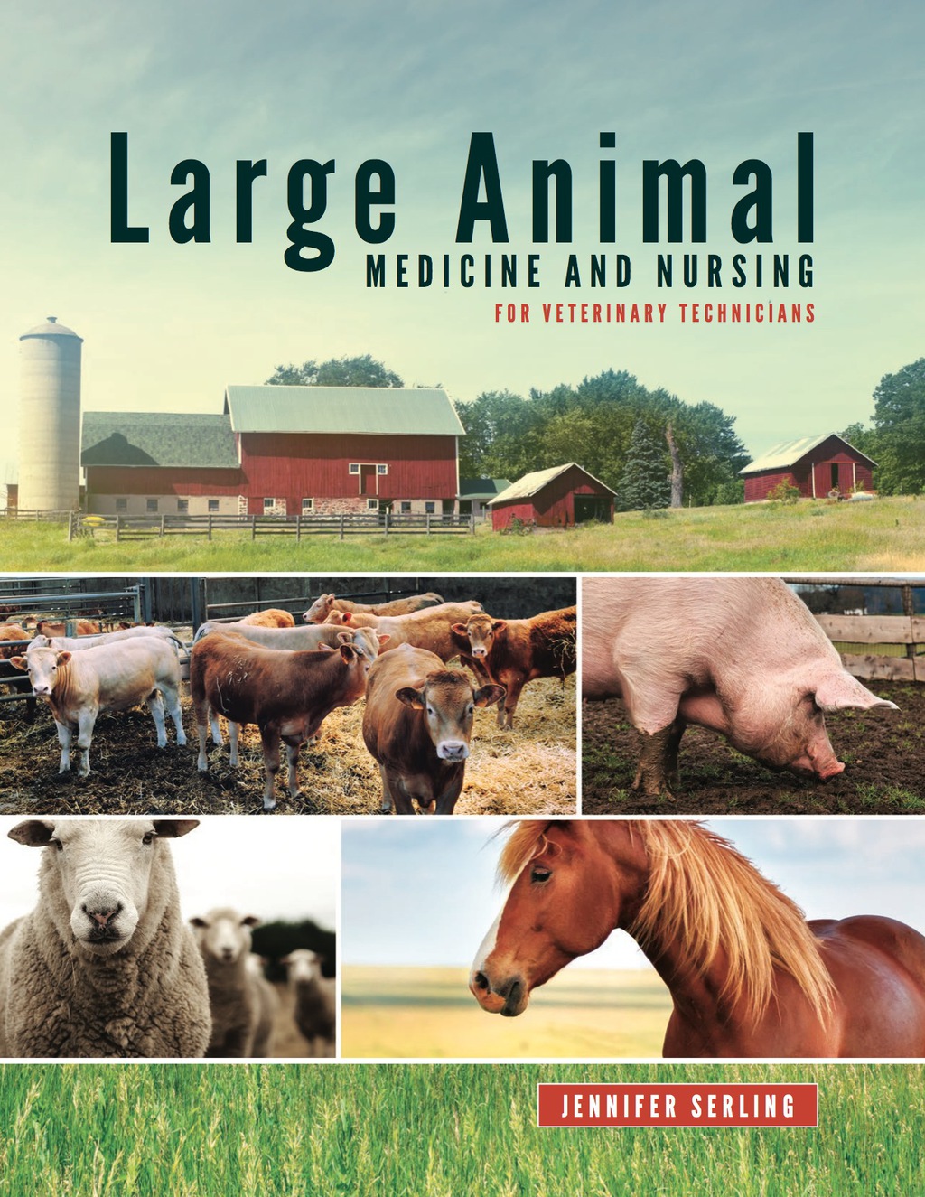 Large Animal Medicine and Nursing for Veterinary Technicians 1st Edition