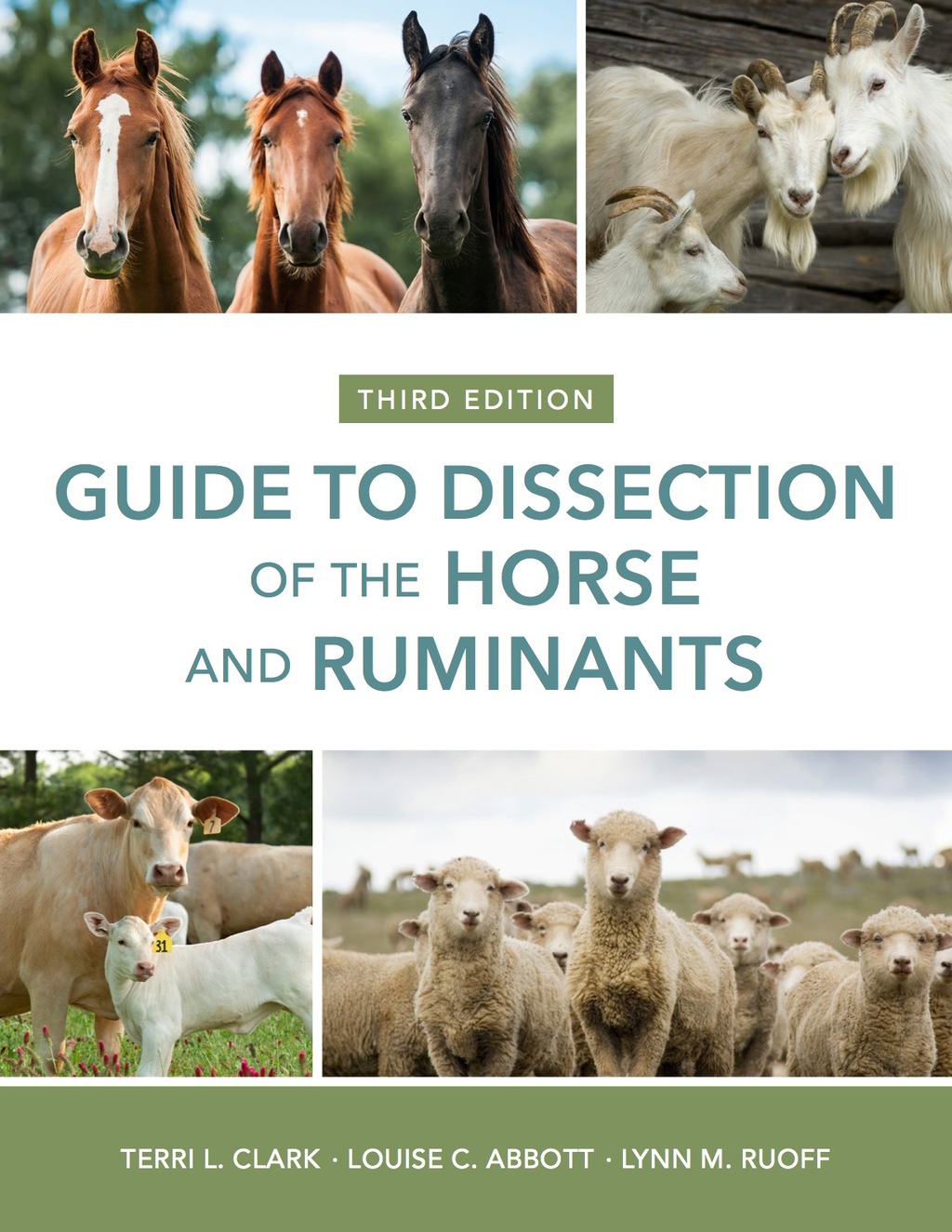 Guide to the Dissection of the Horse and Ruminants 3rd Edition