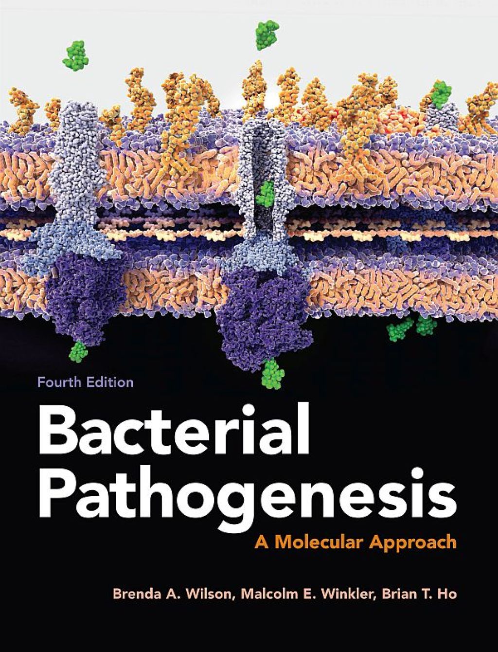 Bacterial Pathogenesis: A Molecular Approach 4th Edition