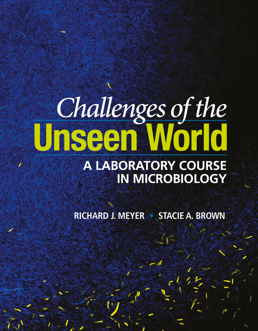 Challenges of the Unseen World A Laboratory Course in Microbiology 1st Edition