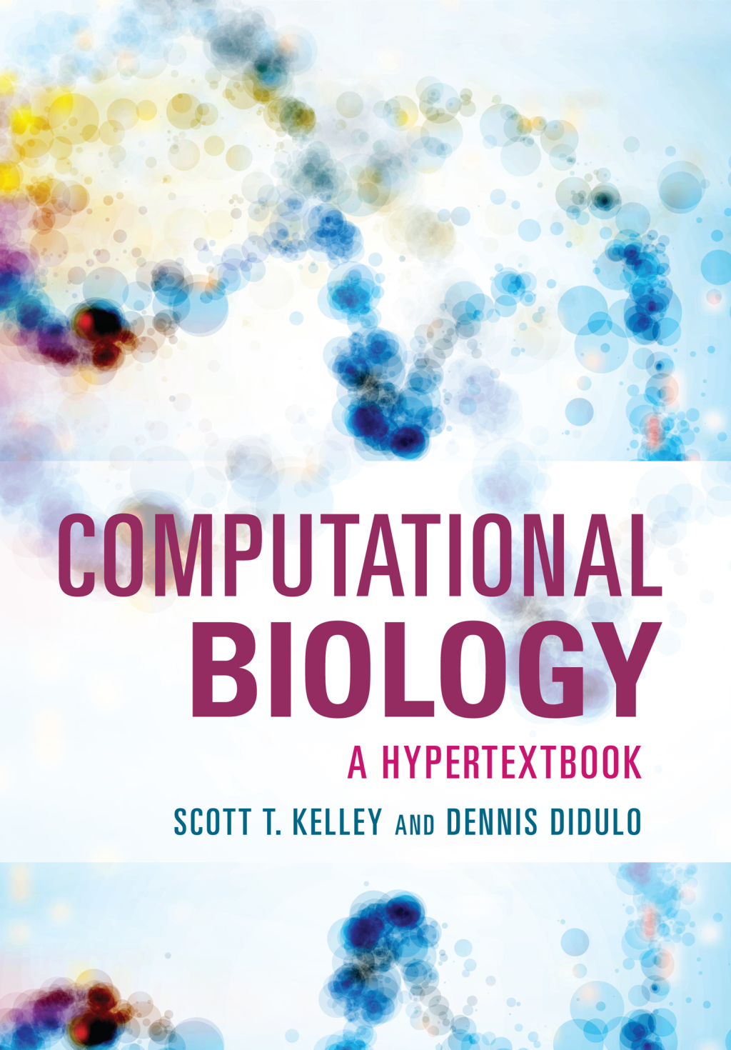 Computational Biology A Hypertextbook 1st Edition