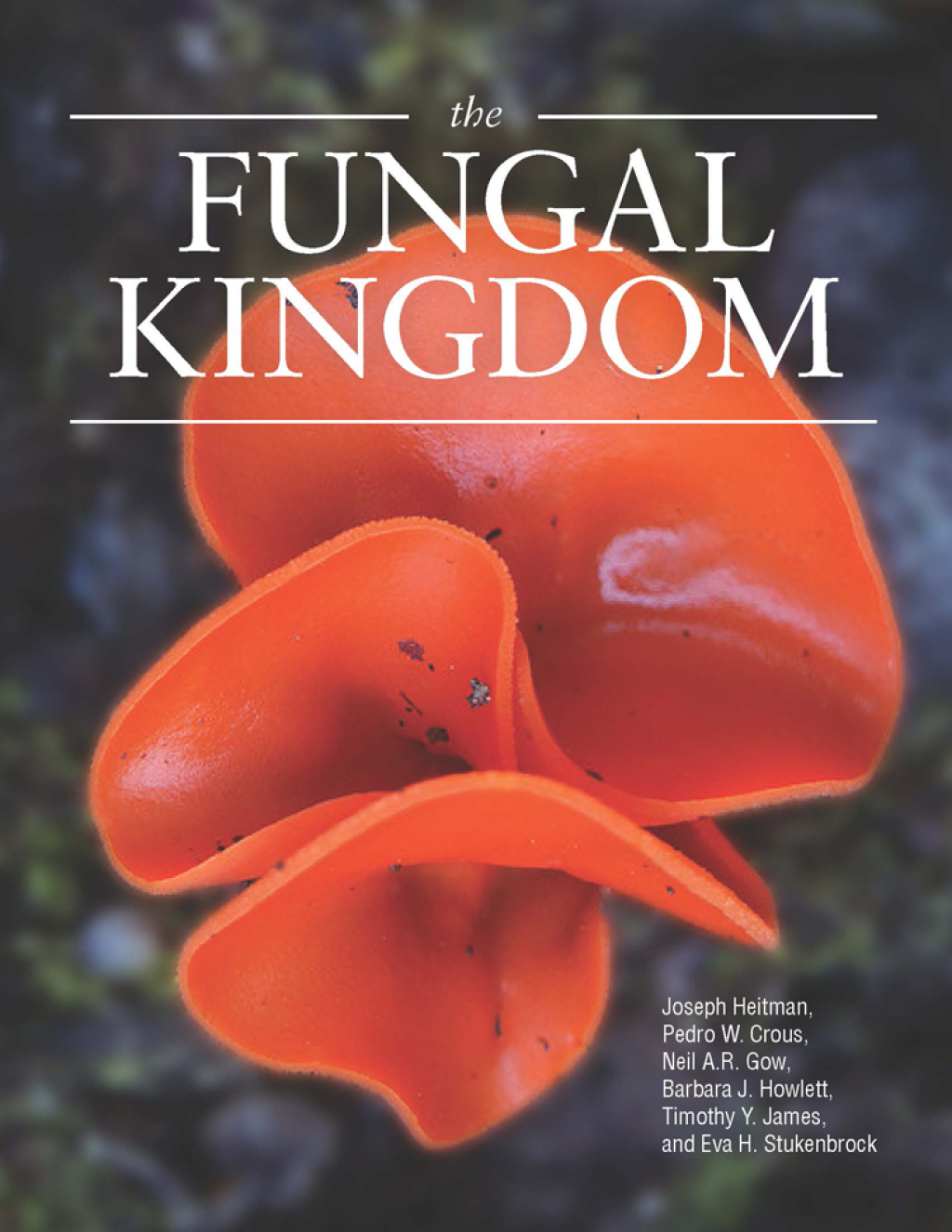 The Fungal Kingdom 1st Edition