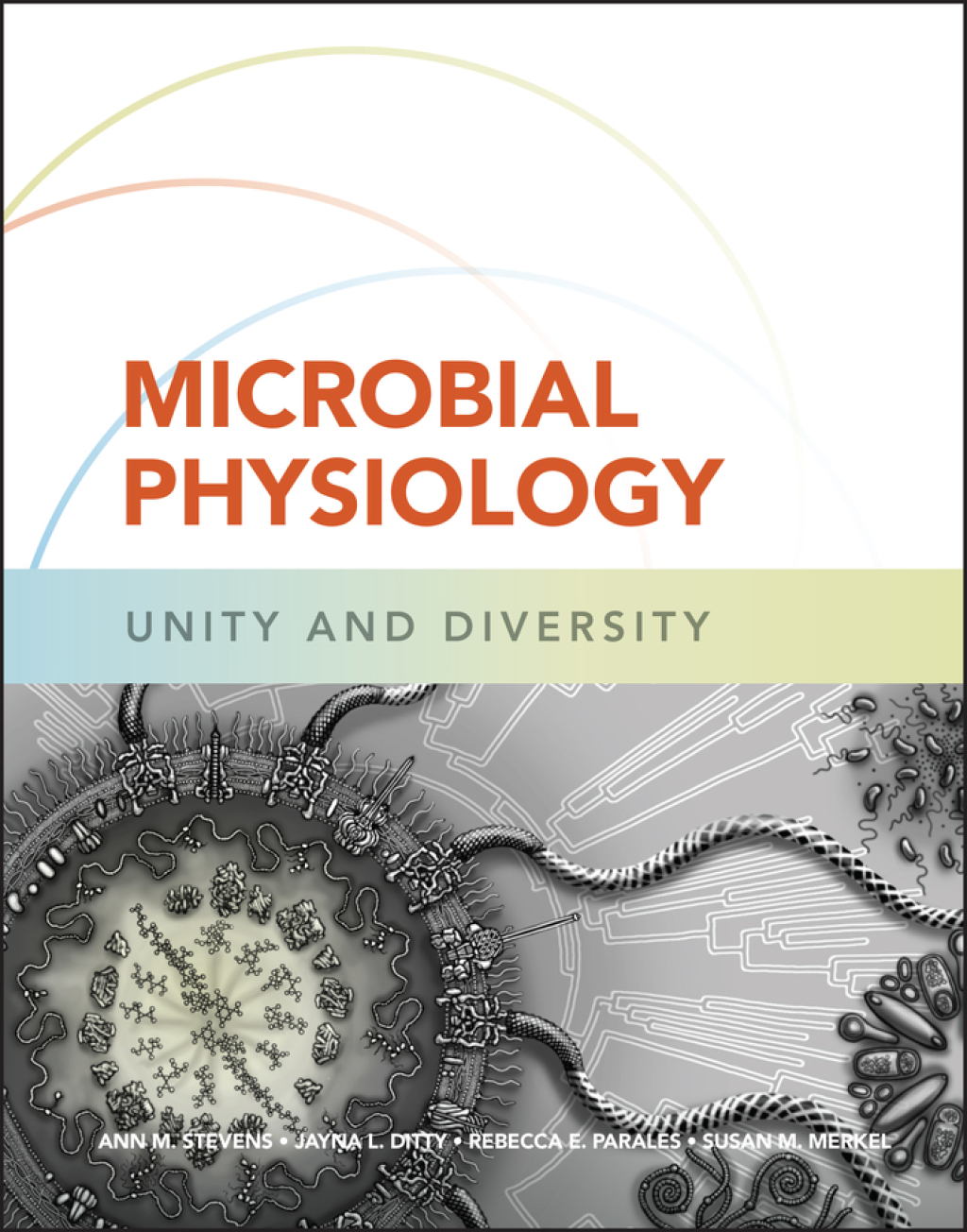 Microbial Physiology Unity and Diversity 1st Edition