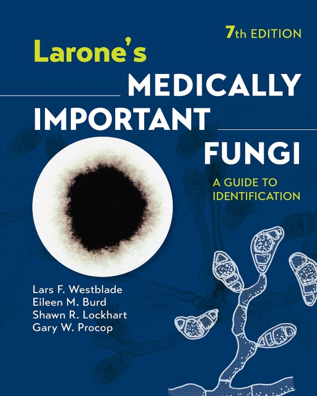 Larone's Medically Important Fungi A Guide to Identification 7th Edition