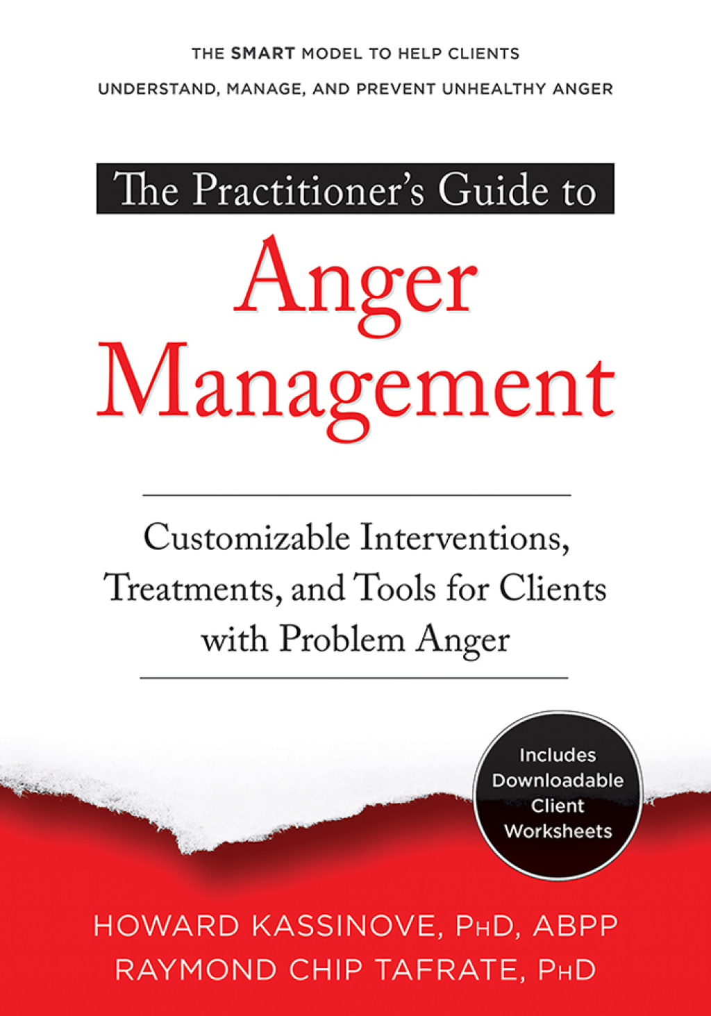 The Practitioner's Guide to Anger Management Customizable Interventions, Treatments, and Tools for Clients with Problem Anger 