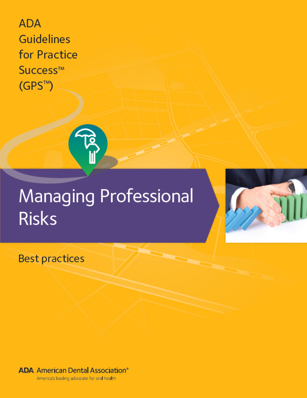 Guidelines for Practice Success: Managing Professional Risks Best Practices 