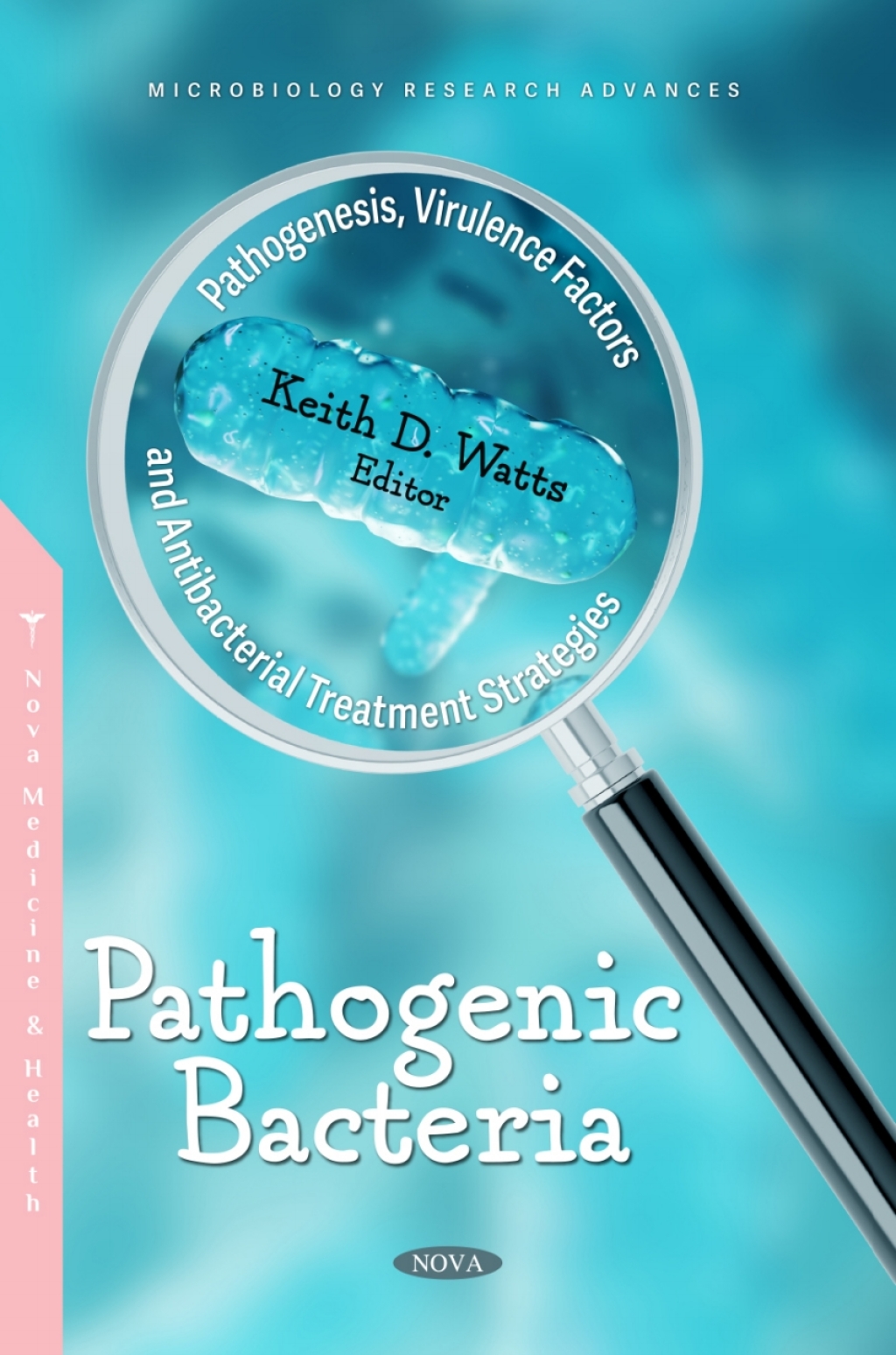 Pathogenic Bacteria: Pathogenesis, Virulence Factors and Antibacterial Treatment Strategies 