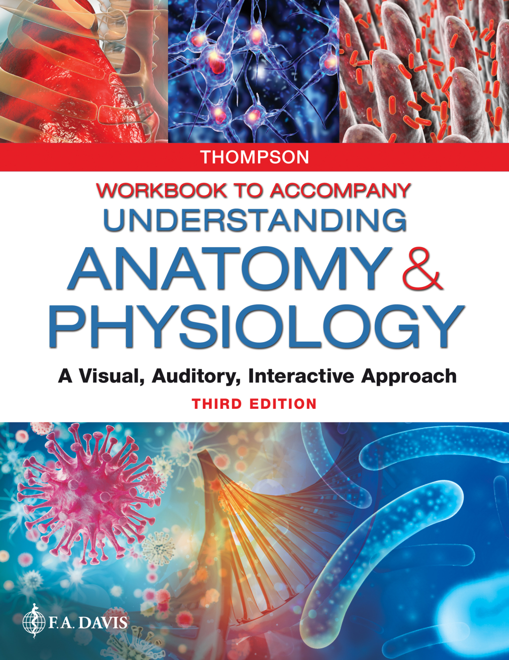 Workbook to Accompany Understanding Anatomy & Physiology A Visual, Auditory, Interactive Approach 3rd Edition
