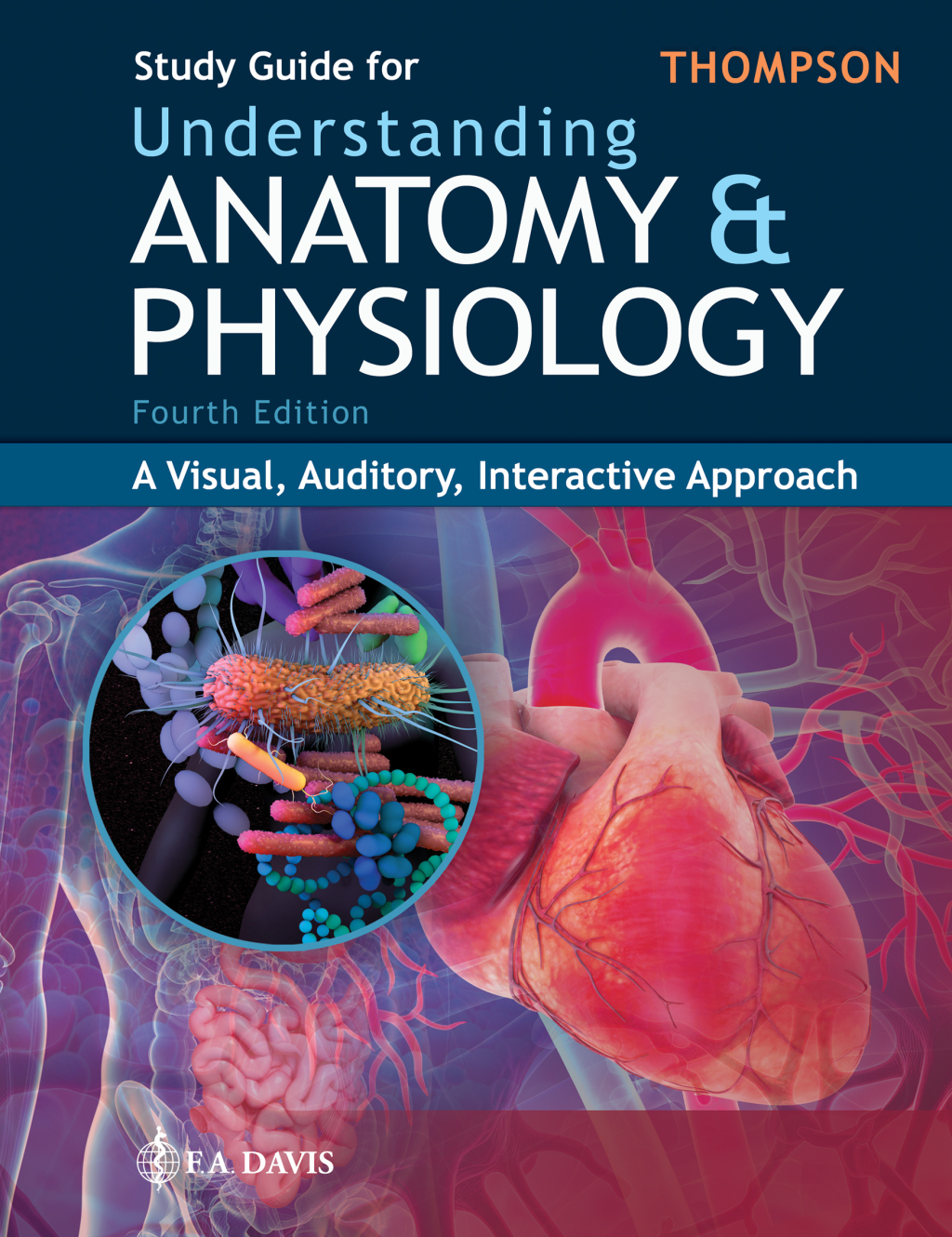 Study Guide for Understanding Anatomy & Physiology A Visual, Auditory, Interactive Approach 4th Edition
