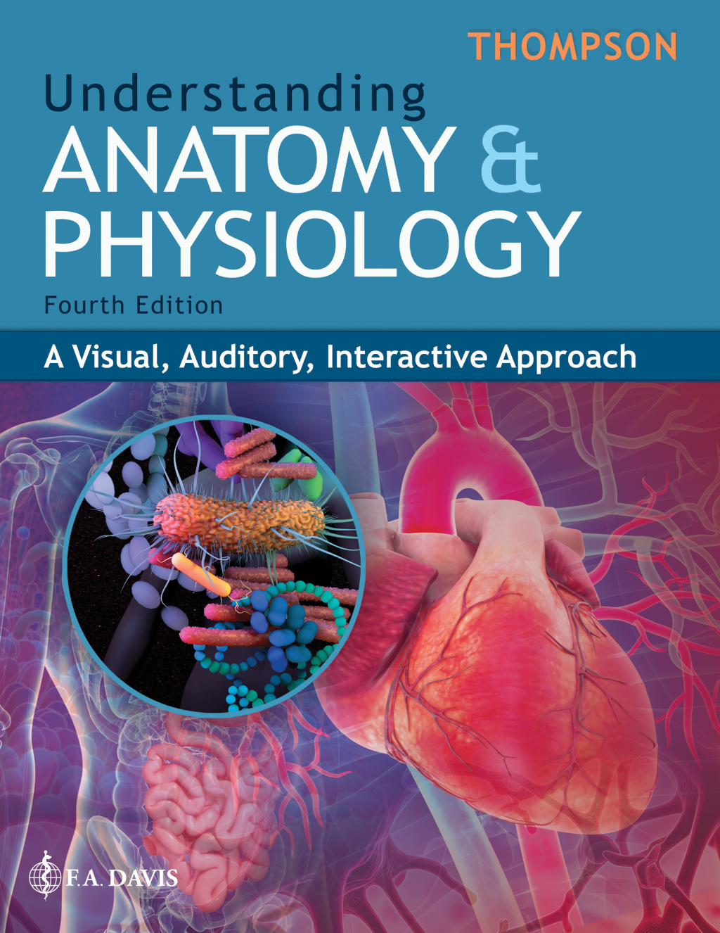 Understanding Anatomy & Physiology A Visual, Auditory, Interactive Approach 4th Edition